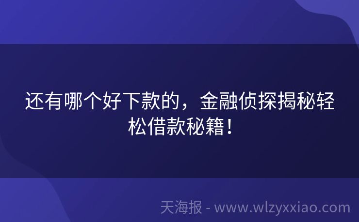 还有哪个好下款的，金融侦探揭秘轻松借款秘籍！