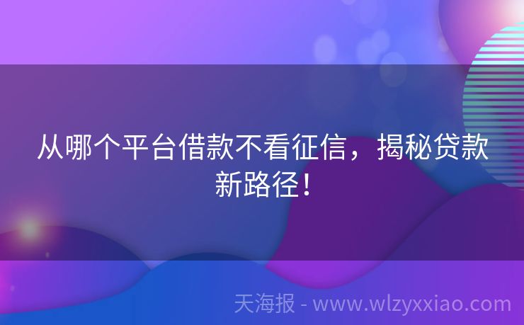 从哪个平台借款不看征信，揭秘贷款新路径！