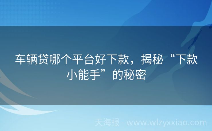 车辆贷哪个平台好下款，揭秘“下款小能手”的秘密