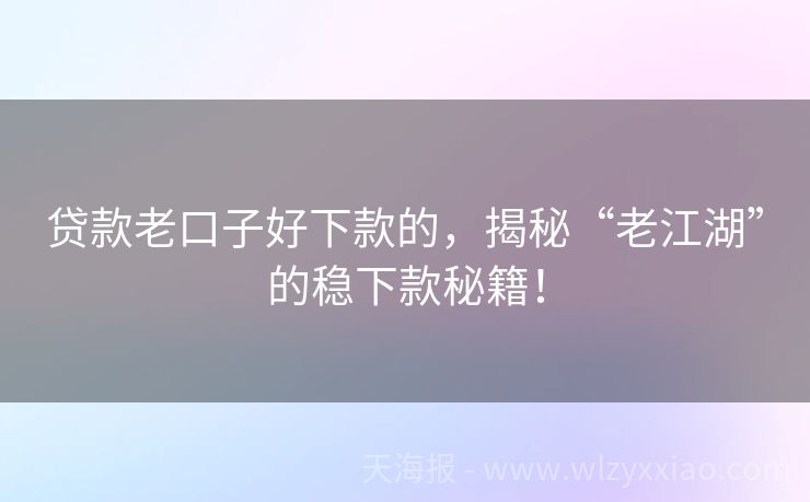 贷款老口子好下款的，揭秘“老江湖”的稳下款秘籍！