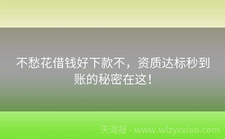 不愁花借钱好下款不，资质达标秒到账的秘密在这！
