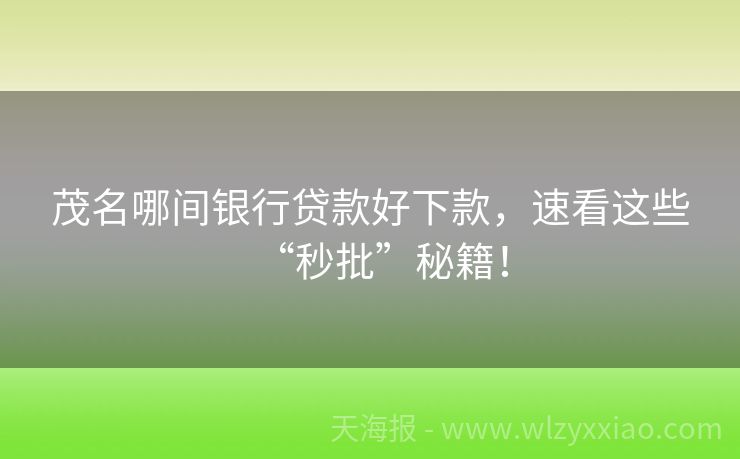 茂名哪间银行贷款好下款，速看这些“秒批”秘籍！