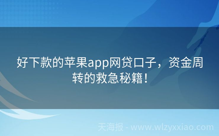 好下款的苹果app网贷口子，资金周转的救急秘籍！