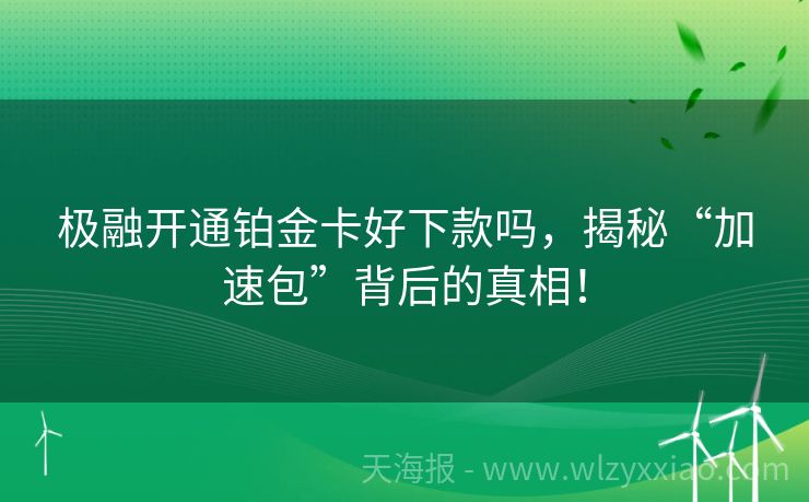 极融开通铂金卡好下款吗，揭秘“加速包”背后的真相！