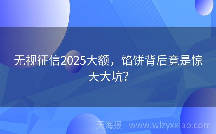 无视征信2025大额，馅饼背后竟是惊天大坑？