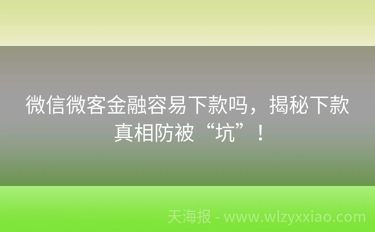 微信微客金融容易下款吗，揭秘下款真相防被“坑”！
