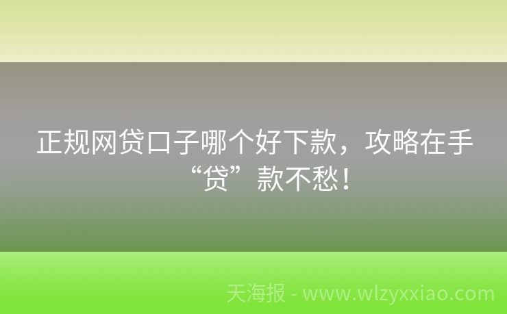 正规网贷口子哪个好下款，攻略在手“贷”款不愁！