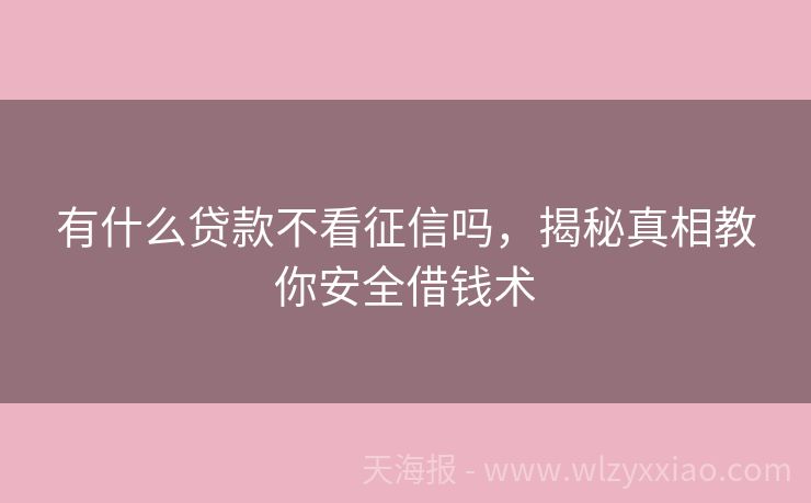 有什么贷款不看征信吗，揭秘真相教你安全借钱术