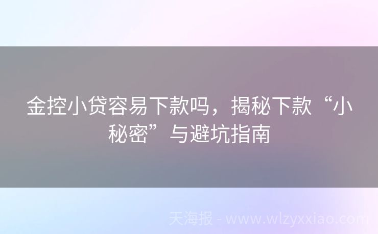 金控小贷容易下款吗，揭秘下款“小秘密”与避坑指南