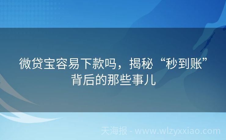 微贷宝容易下款吗，揭秘“秒到账”背后的那些事儿