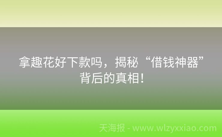 拿趣花好下款吗，揭秘“借钱神器”背后的真相！