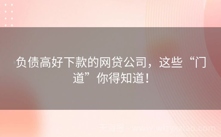 负债高好下款的网贷公司，这些“门道”你得知道！