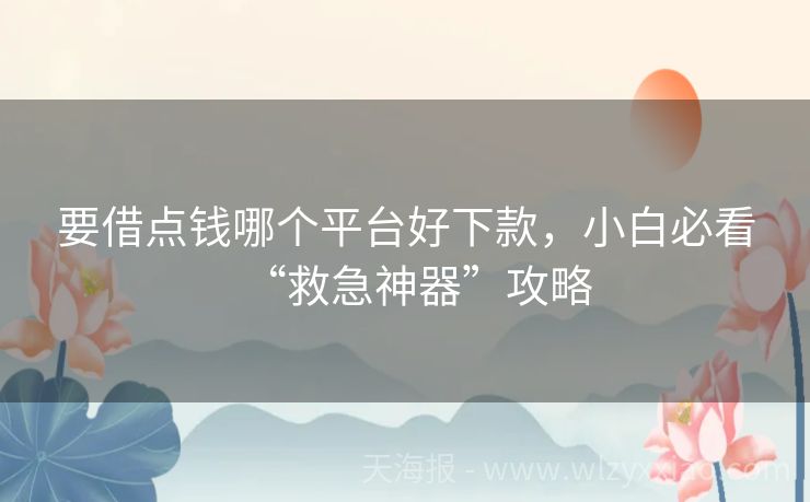 要借点钱哪个平台好下款，小白必看“救急神器”攻略