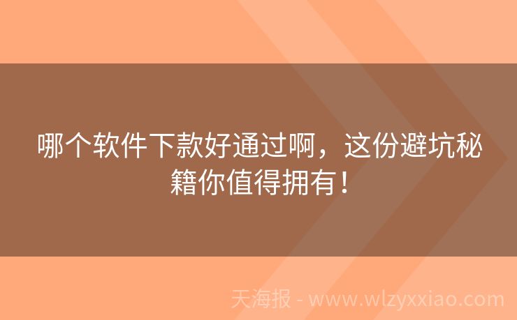 哪个软件下款好通过啊，这份避坑秘籍你值得拥有！