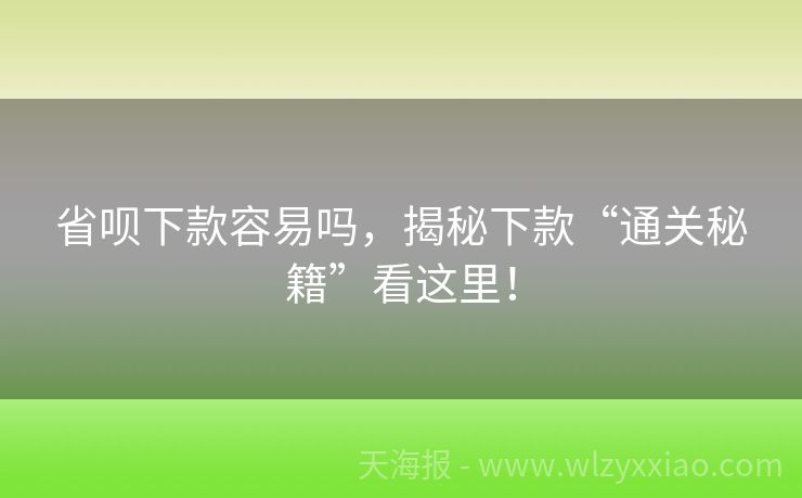省呗下款容易吗，揭秘下款“通关秘籍”看这里！