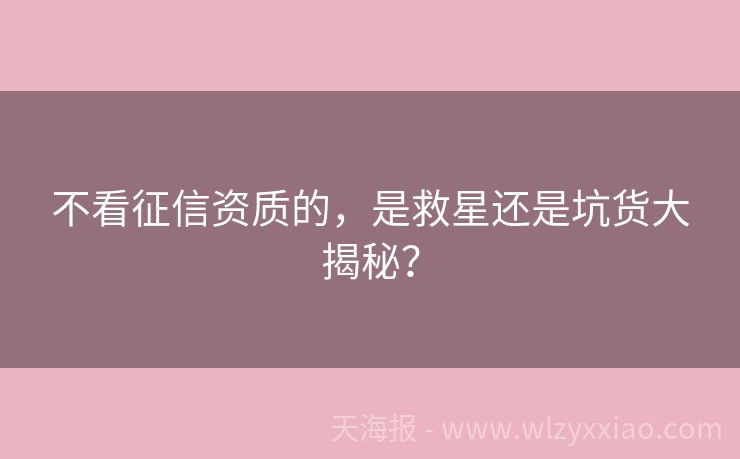 不看征信资质的，是救星还是坑货大揭秘？