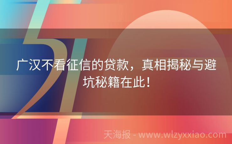 广汉不看征信的贷款，真相揭秘与避坑秘籍在此！