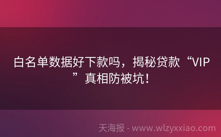 白名单数据好下款吗，揭秘贷款“VIP”真相防被坑！