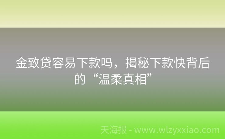 金致贷容易下款吗，揭秘下款快背后的“温柔真相”