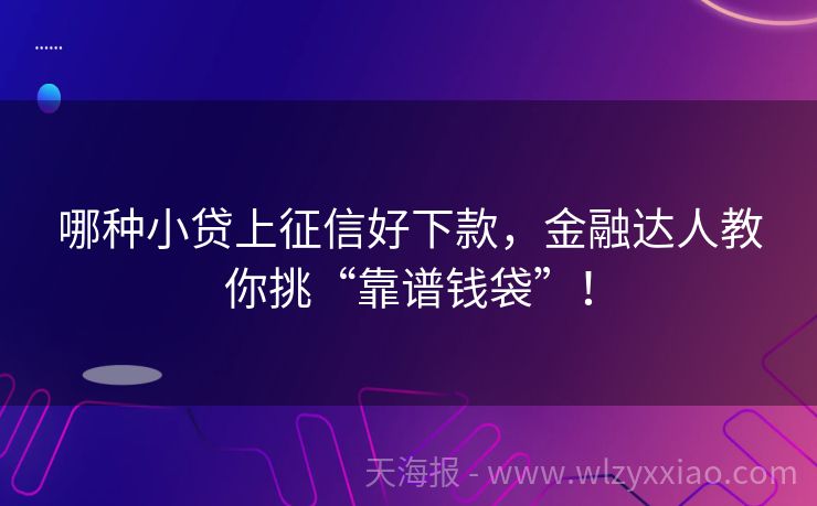 哪种小贷上征信好下款，金融达人教你挑“靠谱钱袋”！