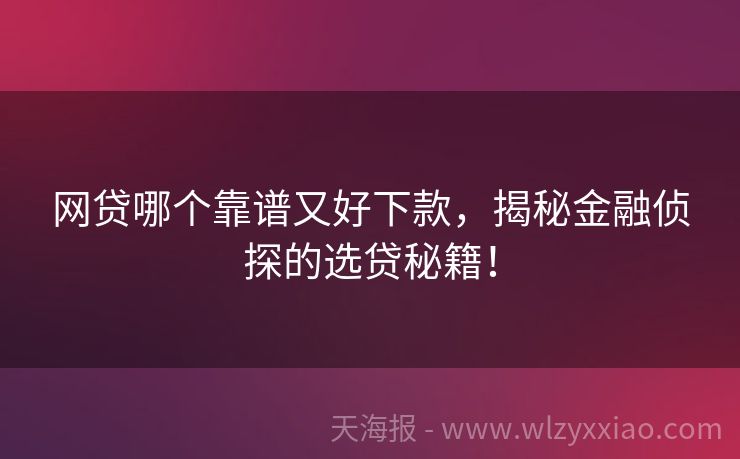 网贷哪个靠谱又好下款，揭秘金融侦探的选贷秘籍！