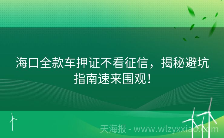 海口全款车押证不看征信，揭秘避坑指南速来围观！