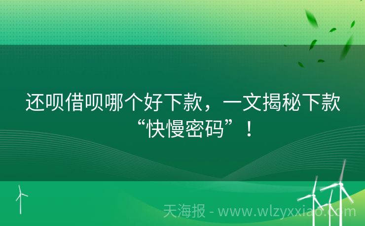 还呗借呗哪个好下款，一文揭秘下款“快慢密码”！