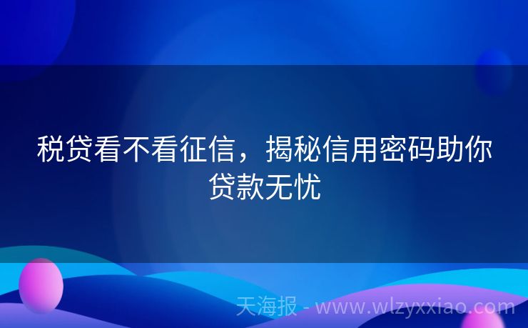 税贷看不看征信，揭秘信用密码助你贷款无忧