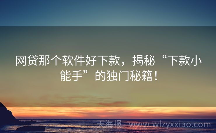 网贷那个软件好下款，揭秘“下款小能手”的独门秘籍！