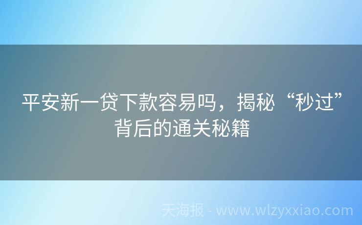 平安新一贷下款容易吗，揭秘“秒过”背后的通关秘籍