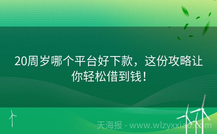20周岁哪个平台好下款，这份攻略让你轻松借到钱！