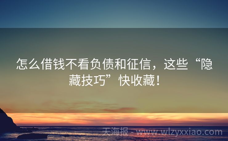 怎么借钱不看负债和征信，这些“隐藏技巧”快收藏！