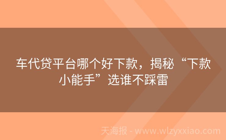 车代贷平台哪个好下款，揭秘“下款小能手”选谁不踩雷