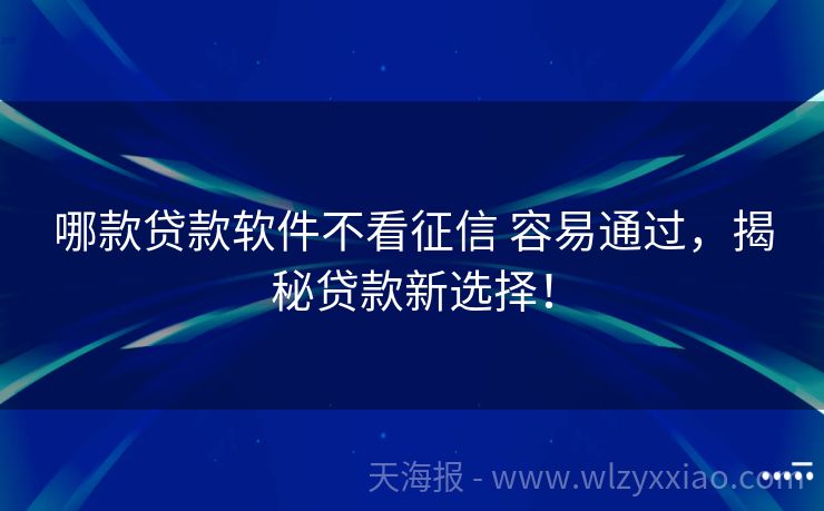 哪款贷款软件不看征信 容易通过，揭秘贷款新选择！