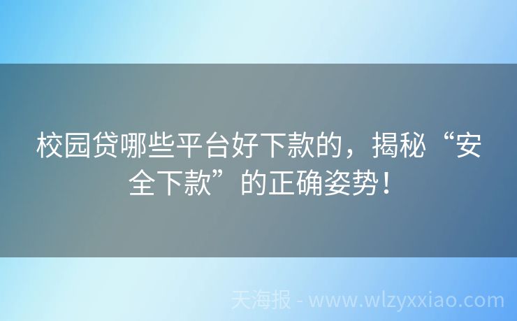 校园贷哪些平台好下款的，揭秘“安全下款”的正确姿势！