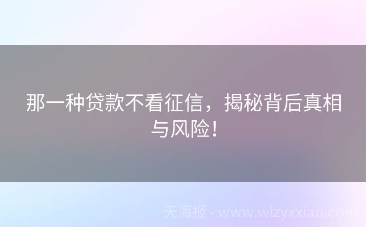 那一种贷款不看征信，揭秘背后真相与风险！