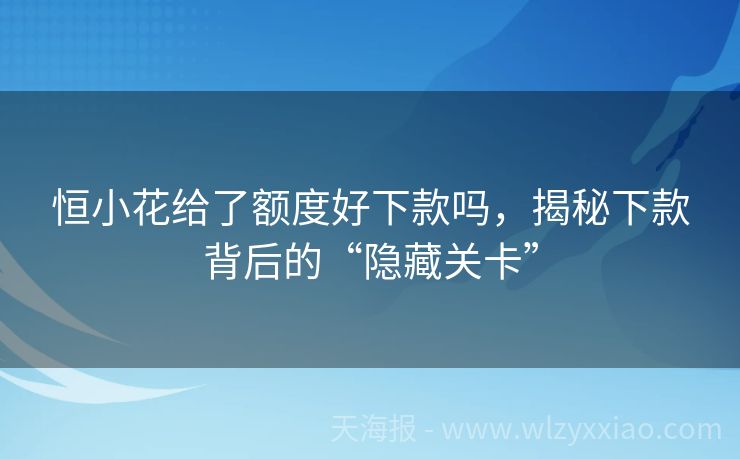 恒小花给了额度好下款吗，揭秘下款背后的“隐藏关卡”