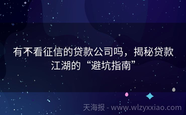有不看征信的贷款公司吗，揭秘贷款江湖的“避坑指南”
