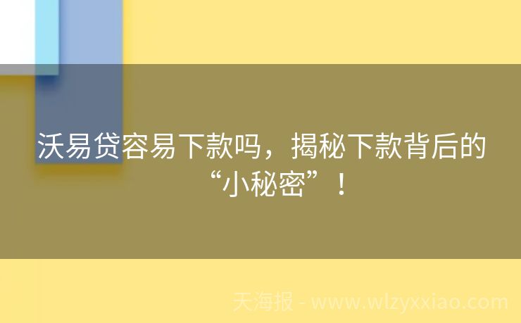 沃易贷容易下款吗，揭秘下款背后的“小秘密”！