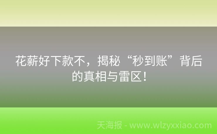 花薪好下款不，揭秘“秒到账”背后的真相与雷区！