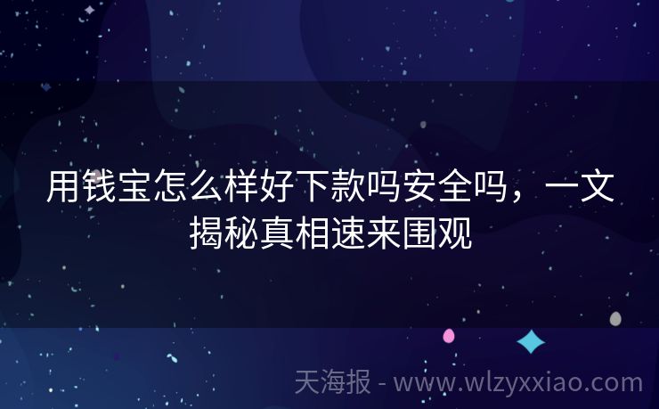 用钱宝怎么样好下款吗安全吗，一文揭秘真相速来围观