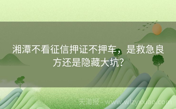 湘潭不看征信押证不押车，是救急良方还是隐藏大坑？