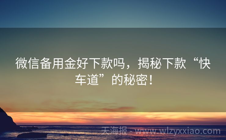 微信备用金好下款吗，揭秘下款“快车道”的秘密！