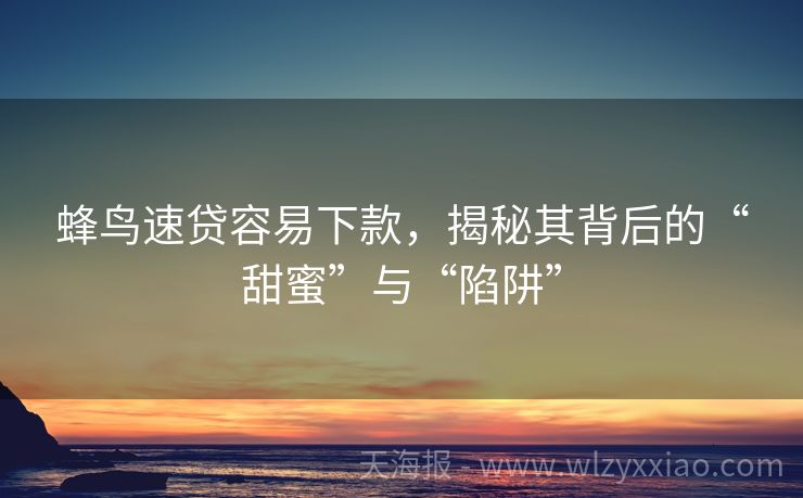 蜂鸟速贷容易下款，揭秘其背后的“甜蜜”与“陷阱”