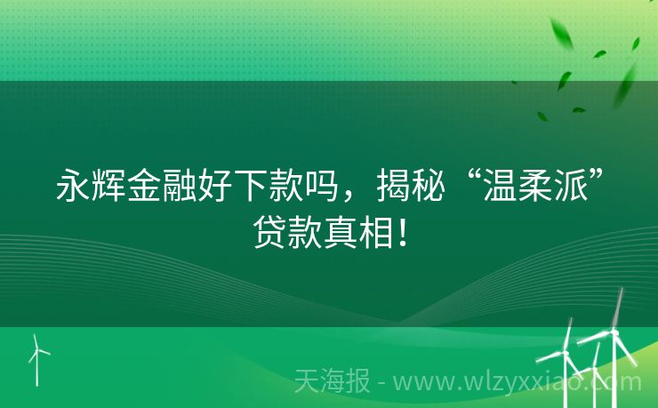 永辉金融好下款吗，揭秘“温柔派”贷款真相！