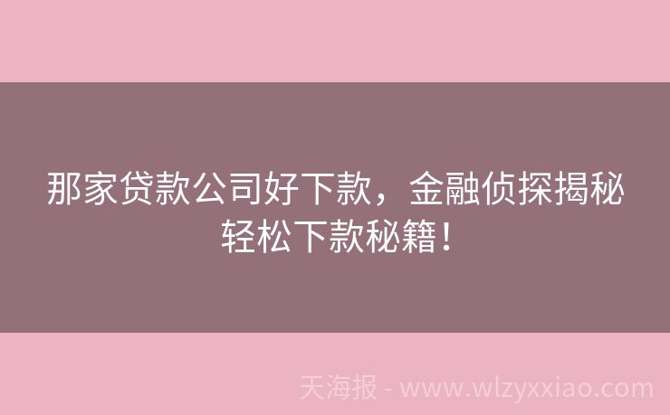 那家贷款公司好下款，金融侦探揭秘轻松下款秘籍！