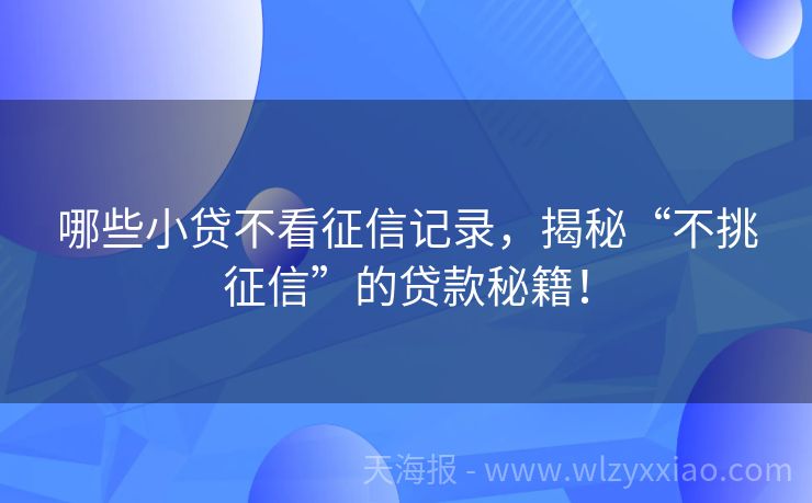 哪些小贷不看征信记录，揭秘“不挑征信”的贷款秘籍！