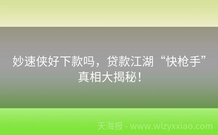 妙速侠好下款吗，贷款江湖“快枪手”真相大揭秘！