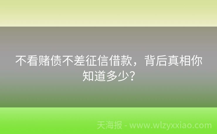 不看   债不差征信借款，背后真相你知道多少？
