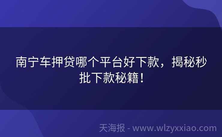 南宁车押贷哪个平台好下款，揭秘秒批下款秘籍！